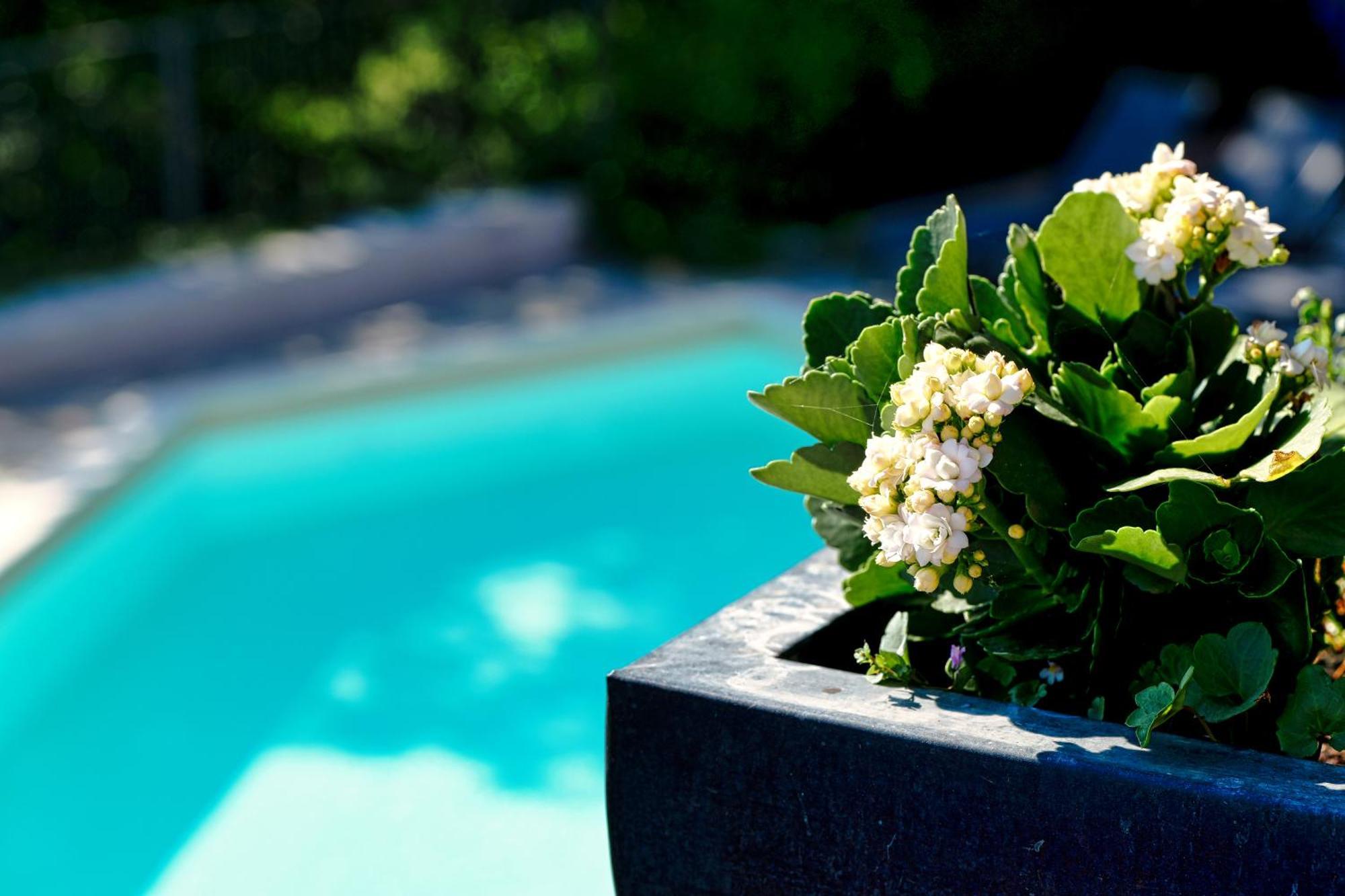 Viavai Bed & Breakfast Casalborgone Eksteriør bilde